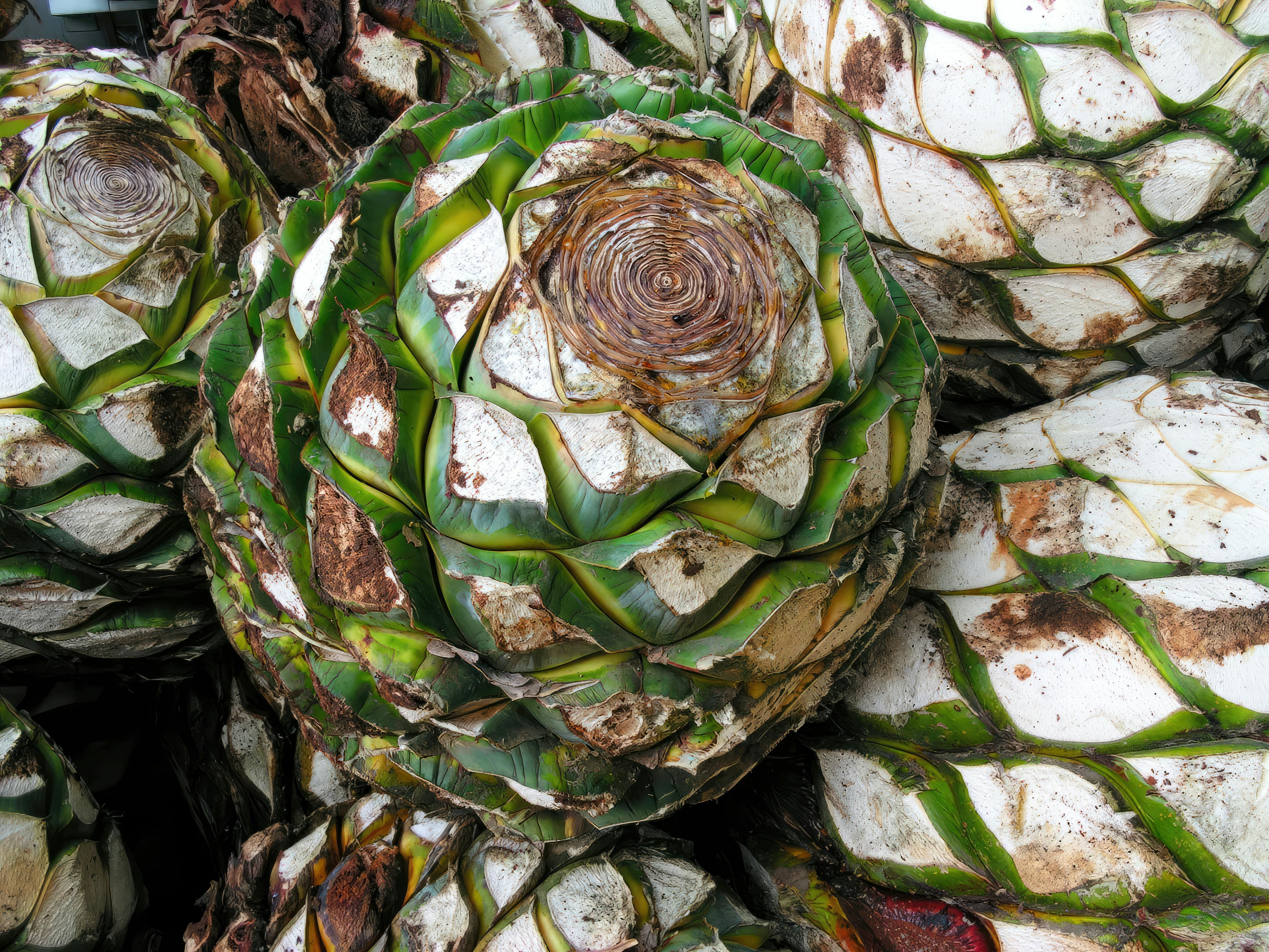 Stovell's Mezcal Origin