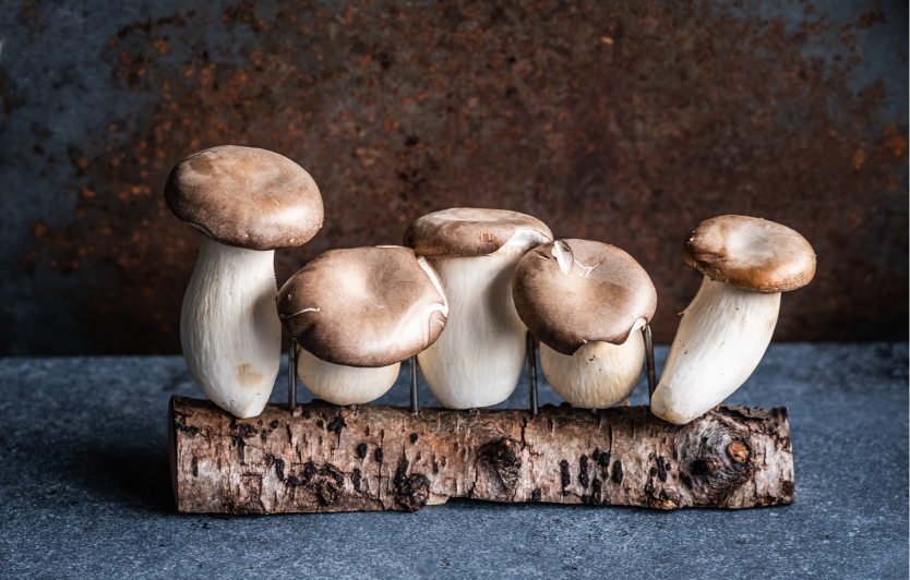 Image Stovell`s Blog